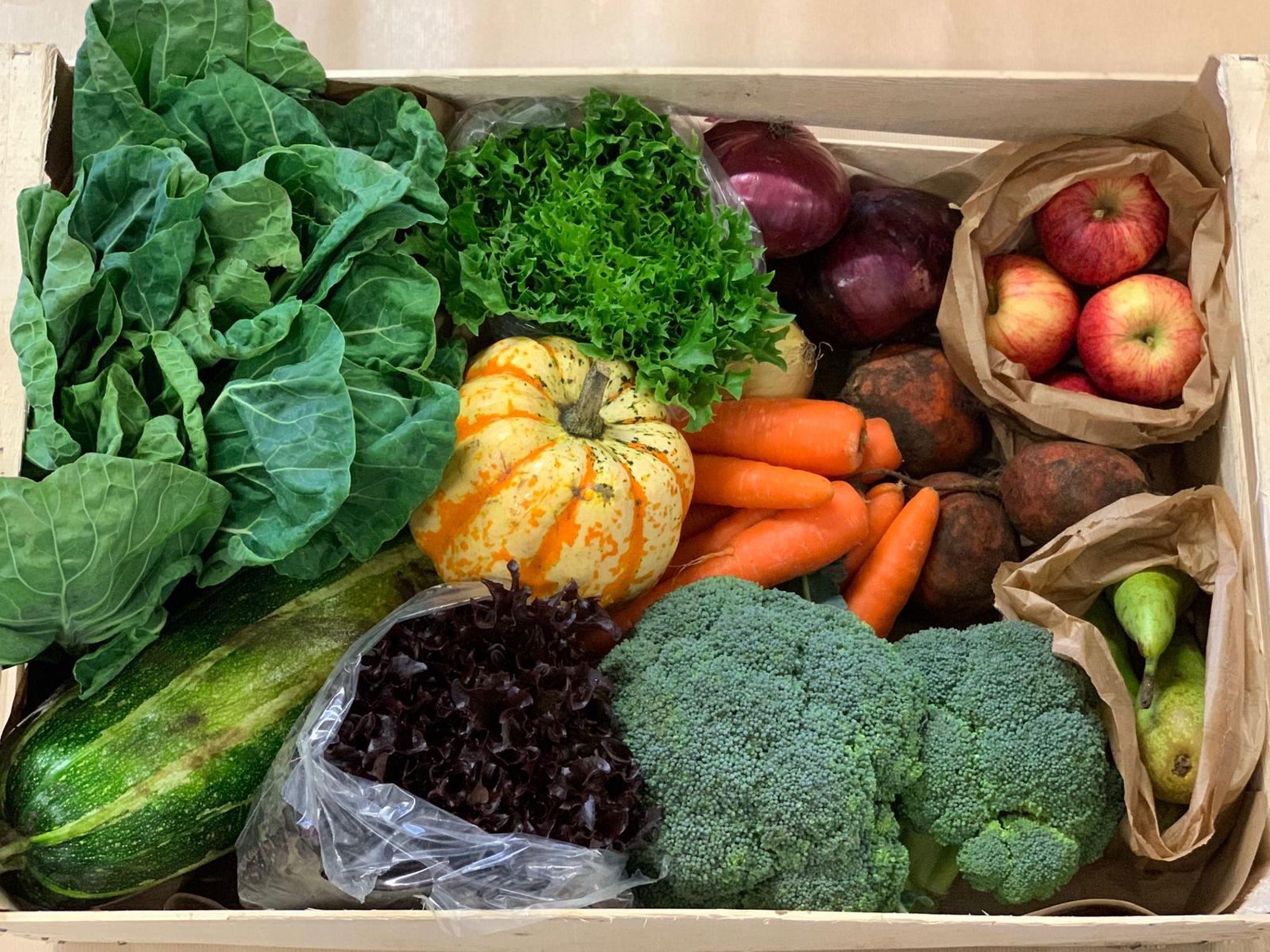 Extra Large Veg Box