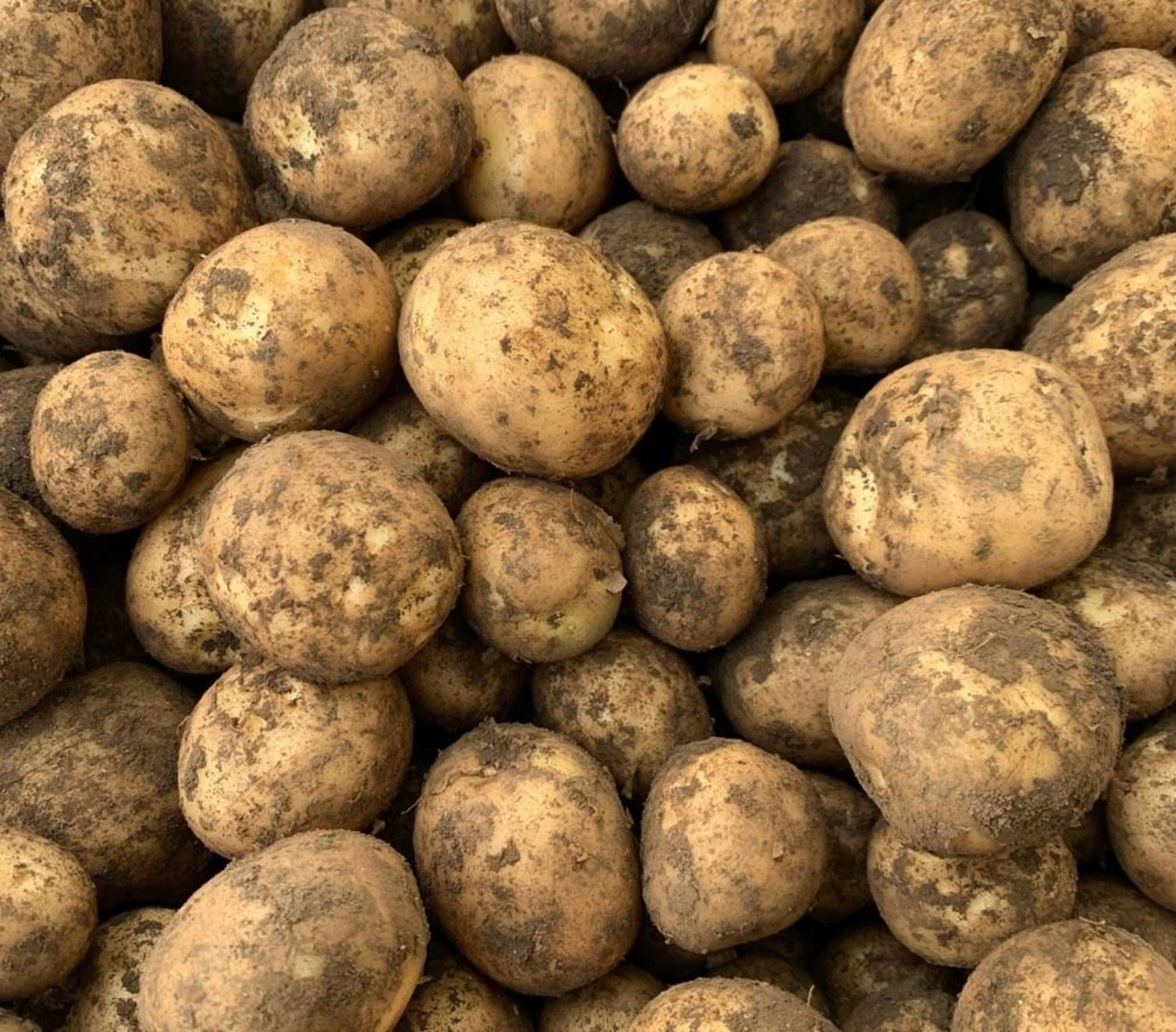 Potatoes New 750g (Kent)